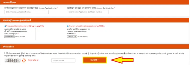 vridha pension yojana online form up