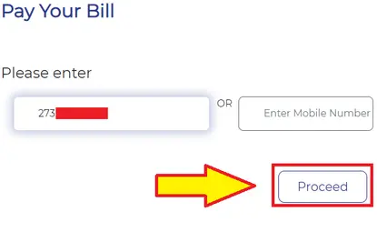 dakshin haryana bijli bill online check 