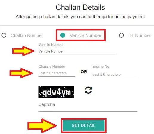 e challan check online