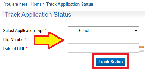 online passport status check